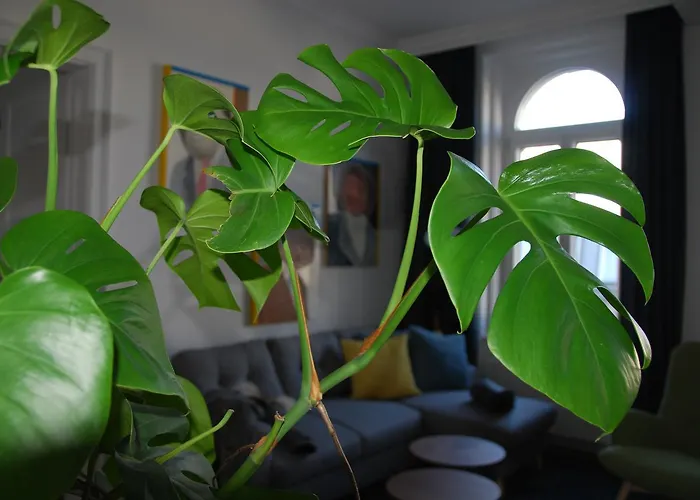 My In - Margareten Smart Apartmán Vídeň